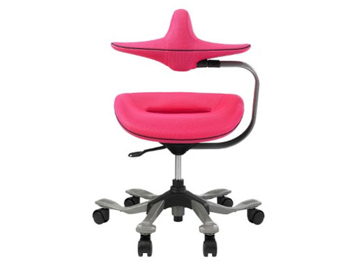 �p�������@�\�t�����~�`�F�A(ipole) 959295 �s���N [�x�����]��]