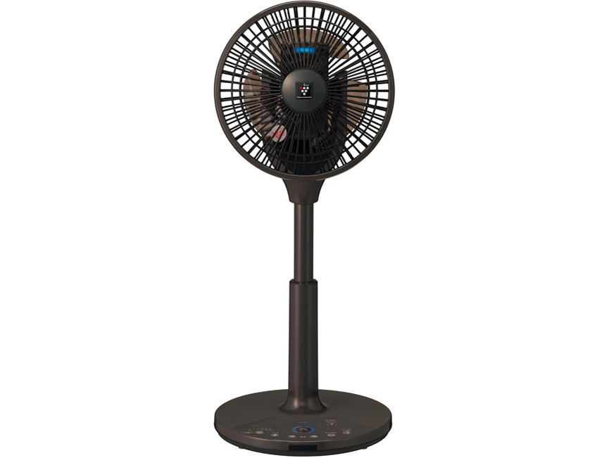 PJ-C2DS-T [�u���E���n] �̐��i�摜