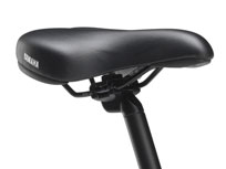 PAS CITY-X PM20CX 2013�N���f�� [�u���e�B�b�V���O���[��] + ��p�[�d��