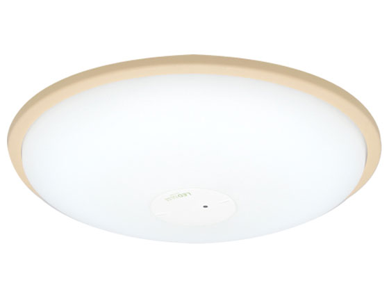 ECOHiLUX CL12N-W1-T [�u���E��] �̐��i�摜