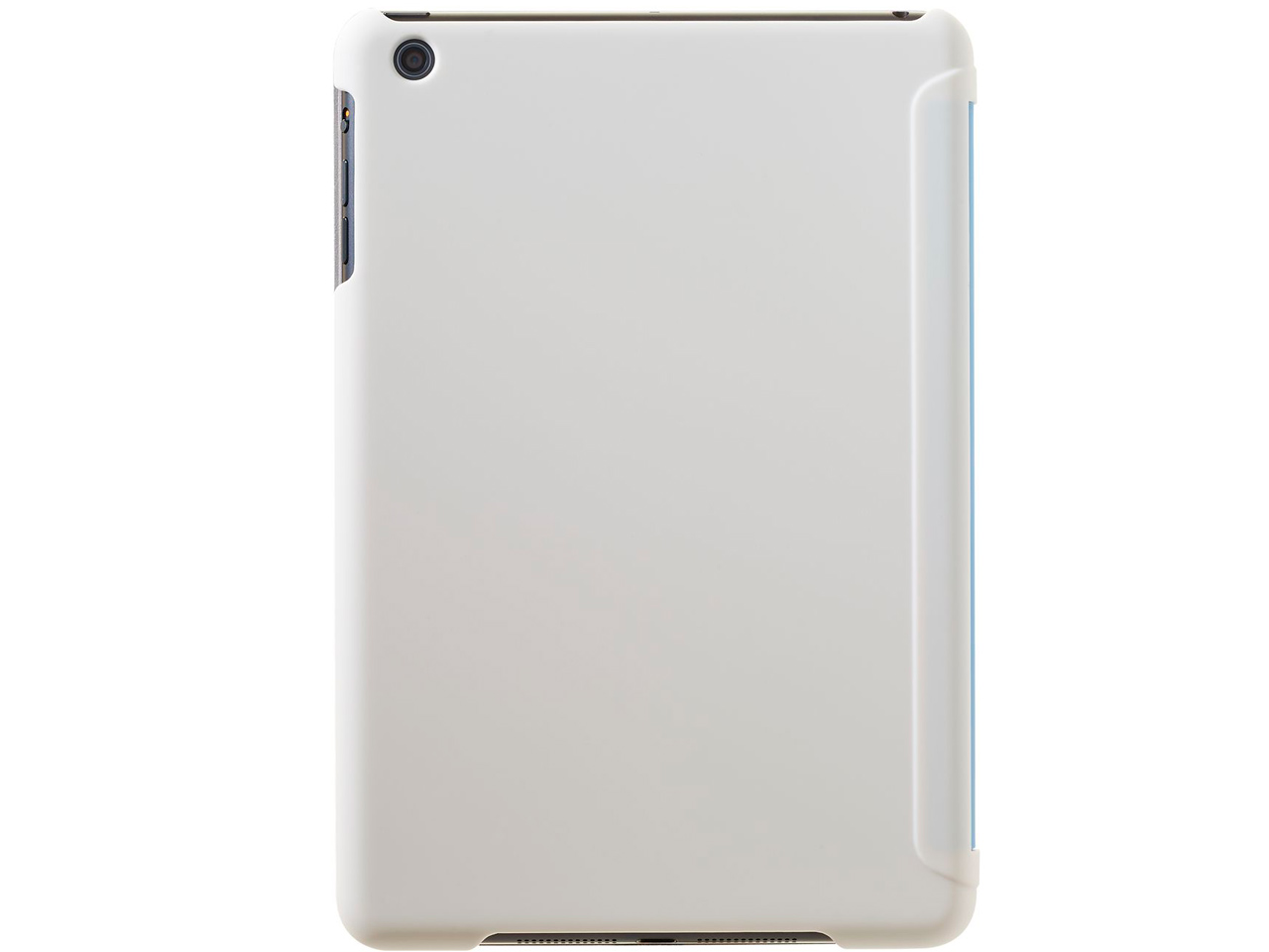 BV-IPM-INTEL-BL [�u���[]