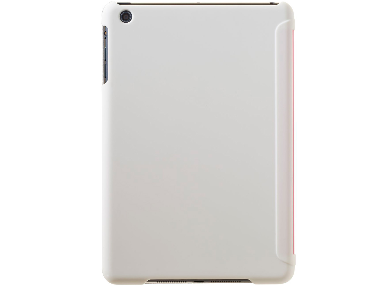 BV-IPM-INTEL-PK [�s���N]