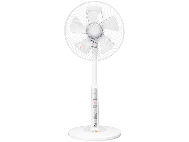 R30J-RP-W [�X�m�[] �̐��i�摜