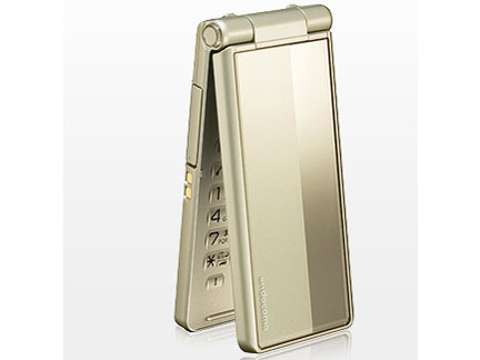 docomo STYLE series P-01E [�V�����p���S�[���h]