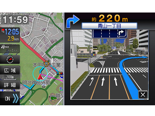 �r�b�OX X008V-FISH