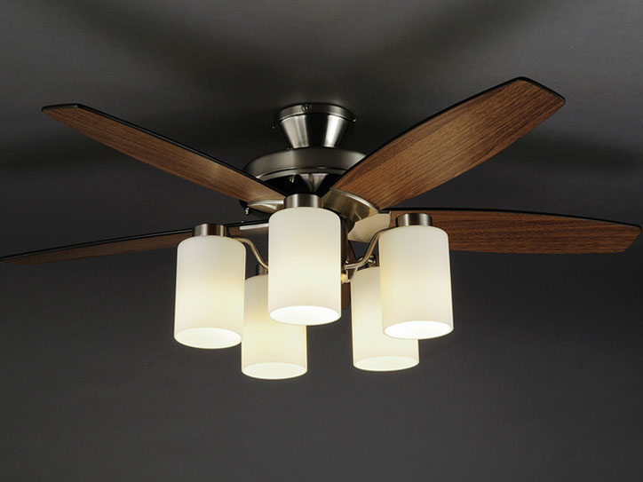 AF850YL �̐��i�摜