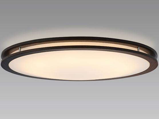 LIFELED'S HLDZB0804L �̐��i�摜