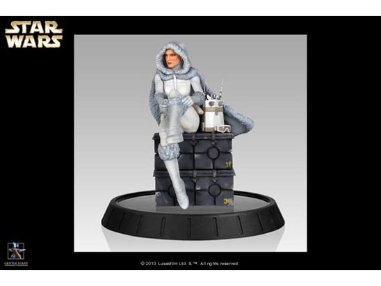 �X�^�`���[ �X�^�[�E�E�H�[�Y �p�h���E�A�~�_��(�C������)