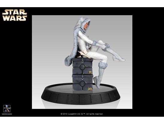 �X�^�`���[ �X�^�[�E�E�H�[�Y �p�h���E�A�~�_��(�C������)