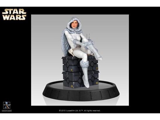 �X�^�`���[ �X�^�[�E�E�H�[�Y �p�h���E�A�~�_��(�C������) �̐��i�摜