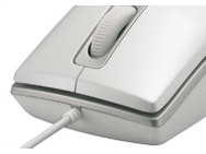 BZMU1WH [�z���C�g]