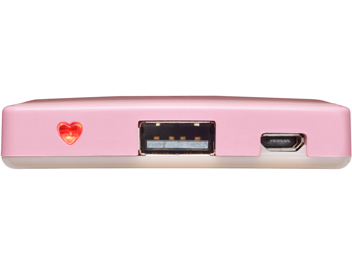 Petile MPC-RP2500PK [�s���N]