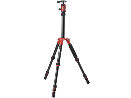 BAIBIAN F225 E-2106 [���b�h]