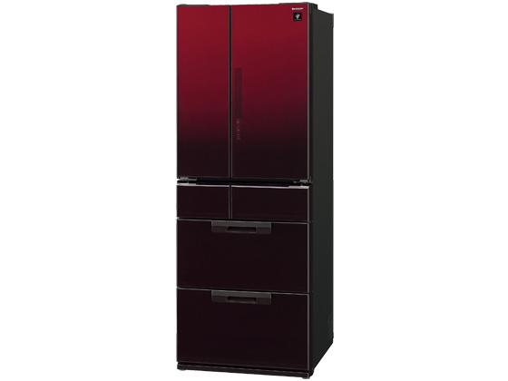 SJ-GF50Y-R [�O���f�[�V�������b�h]