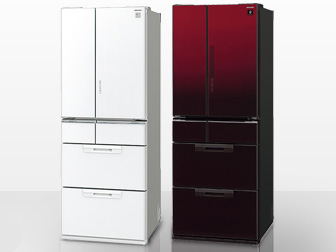 SJ-GF50Y-W [�N���X�^���z���C�g]