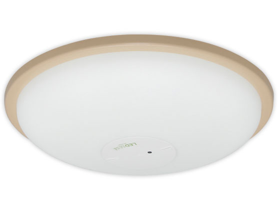 ECOHiLUX CL6DL-WB1-T [�u���E��] �̐��i�摜