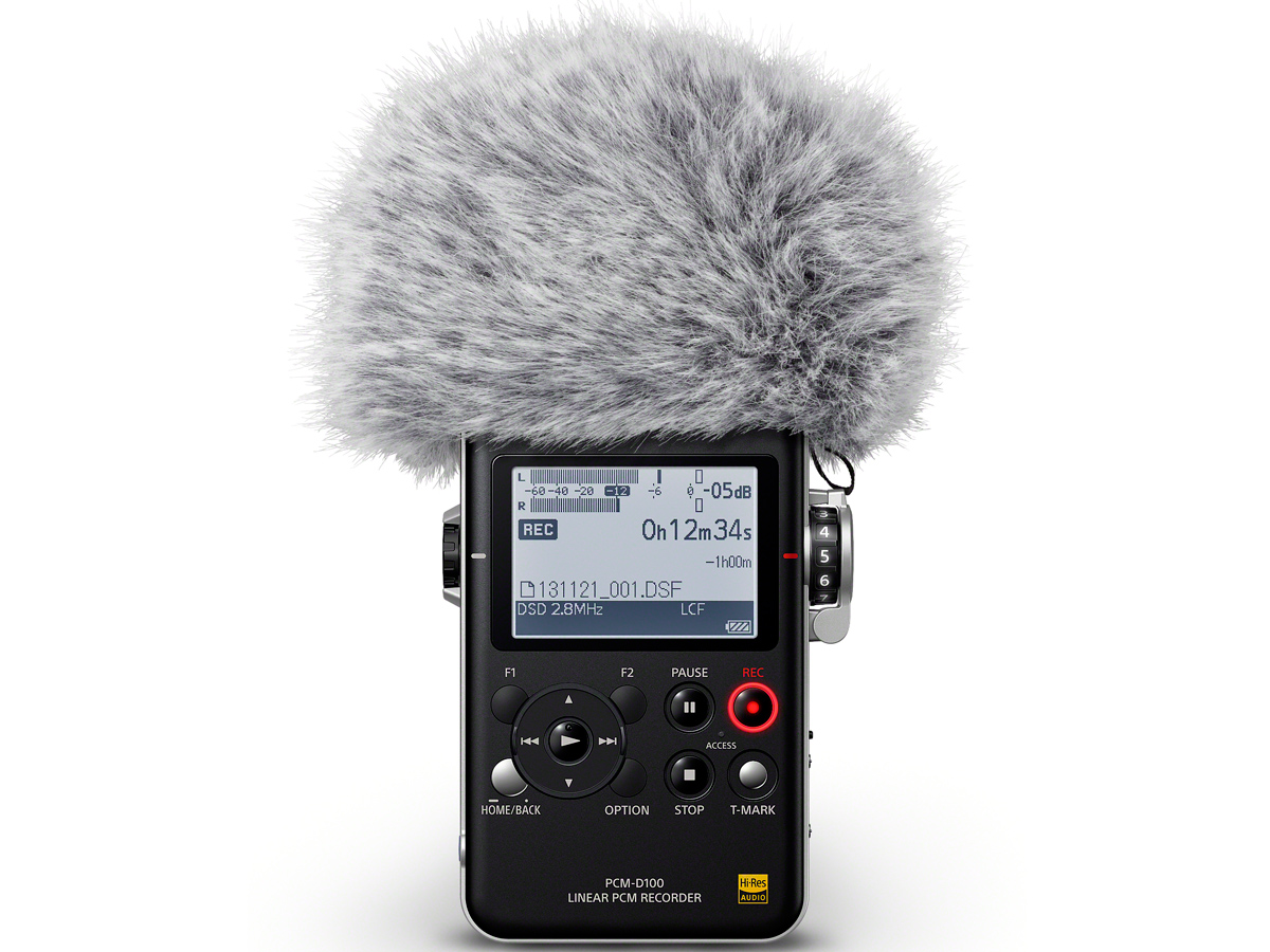 PCM-D100