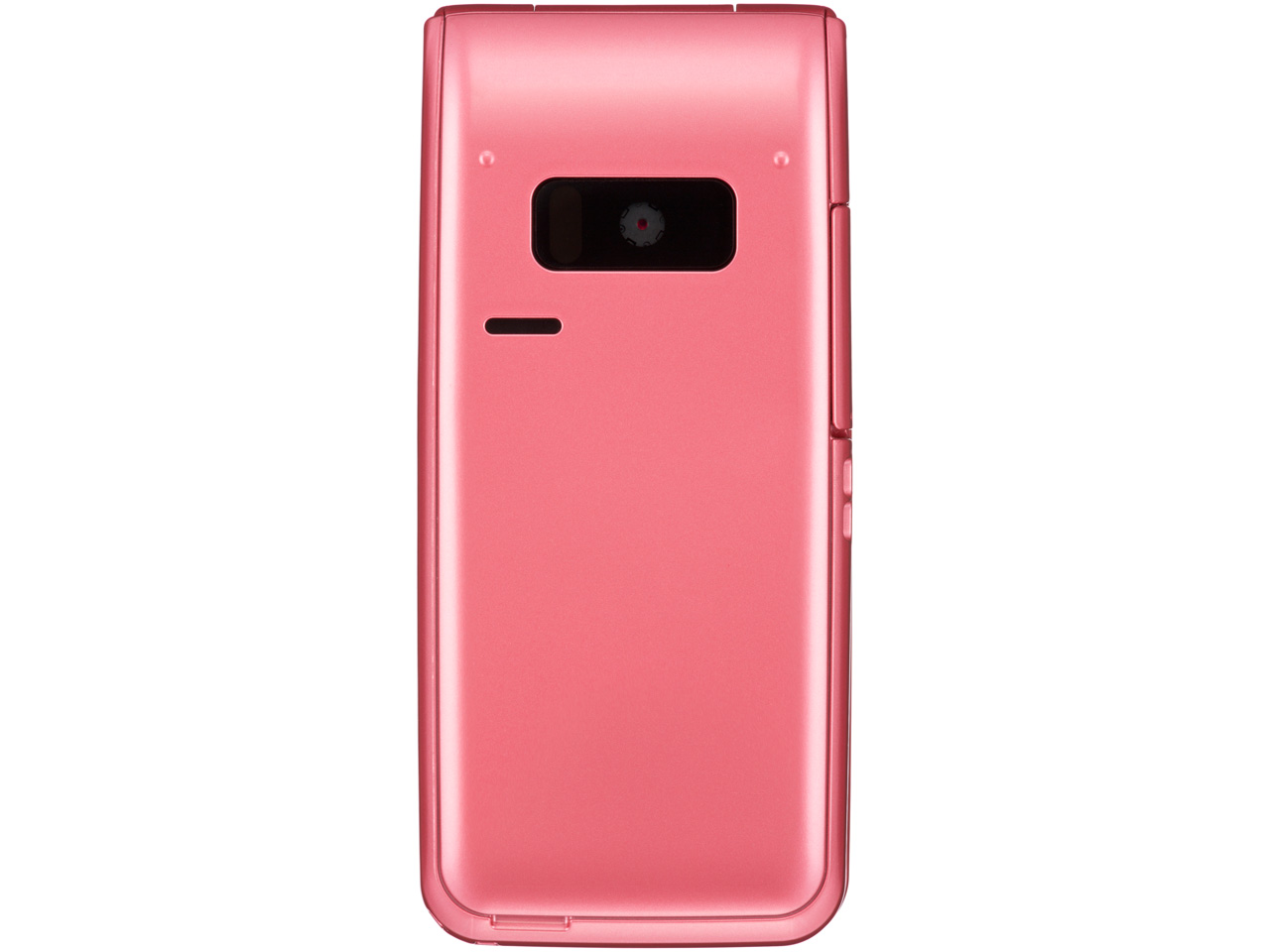 COLOR LIFE4 WATERPROOF SoftBank 301P [�`�F���[�s���N]