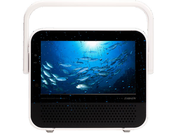 DVD ZABADY VD-J729B [�u���b�N] �̐��i�摜