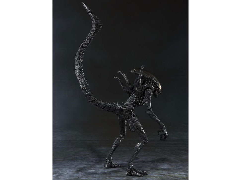 S.H.MonsterArts �G�C���A�� VS �v���f�^�[ �G�C���A�� �E�H�[���A