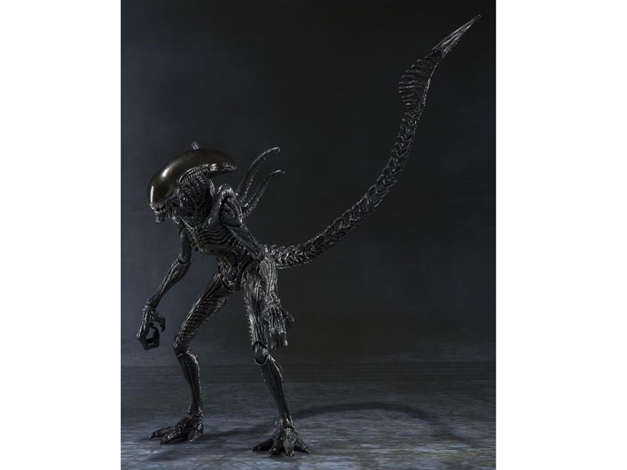 S.H.MonsterArts �G�C���A�� VS �v���f�^�[ �G�C���A�� �E�H�[���A