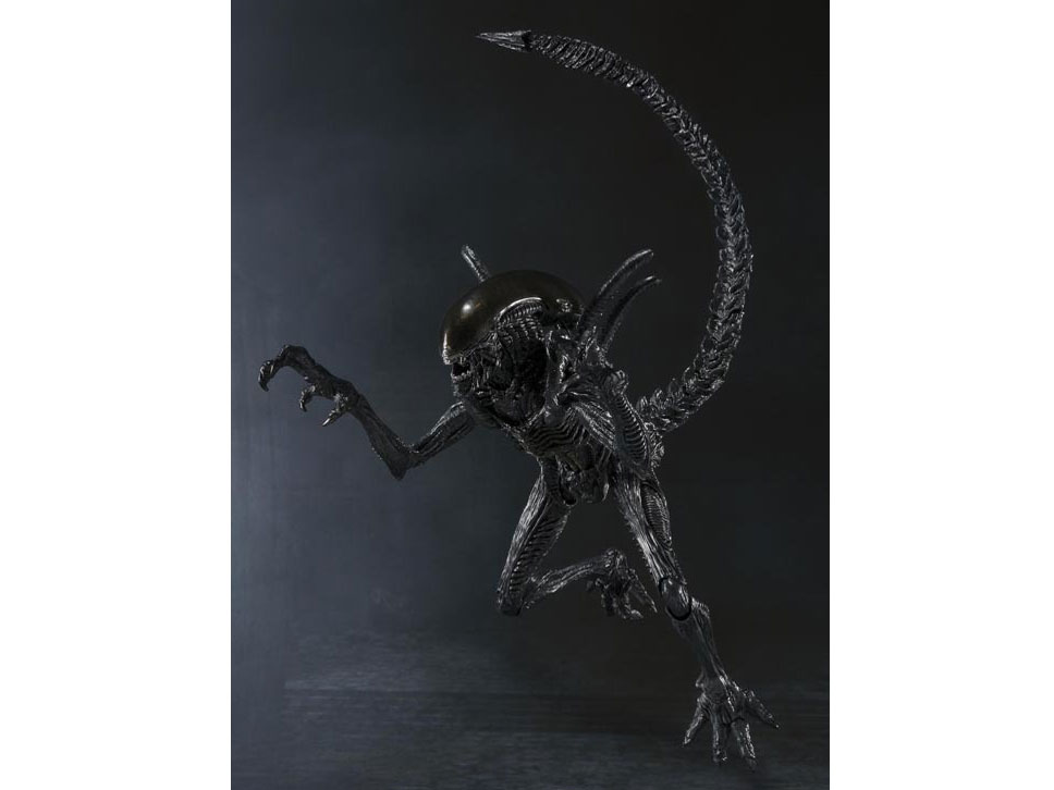 S.H.MonsterArts �G�C���A�� VS �v���f�^�[ �G�C���A�� �E�H�[���A