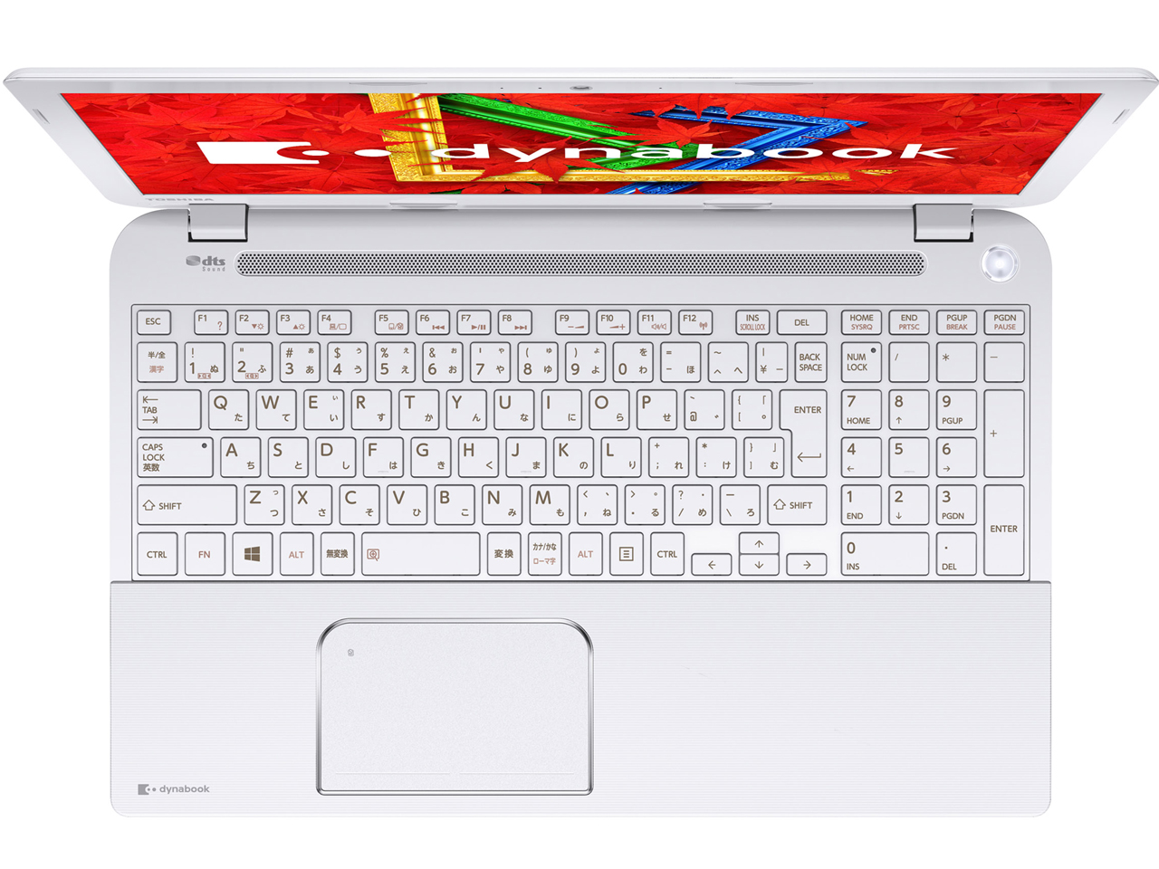 dynabook T554 T554/45KW PT55445KSXW [�����N�X�z���C�g]