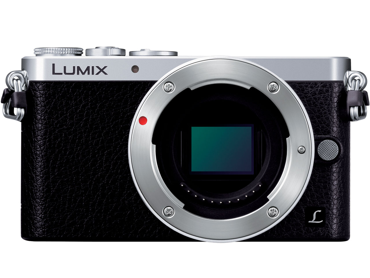 LUMIX DMC-GM1K-S �����Y�L�b�g [�V���o�[]