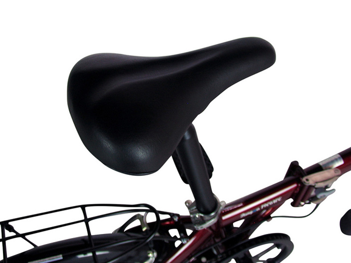 620 Drakonia [���b�h]