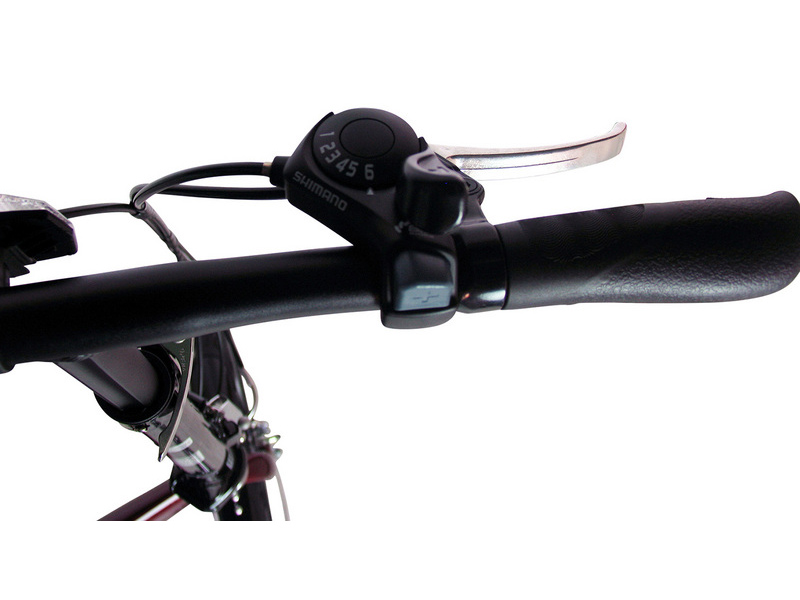 620 Drakonia [���b�h]