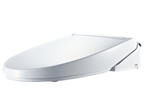 PASSO CW-EA13 BW1 [�s���A�z���C�g]