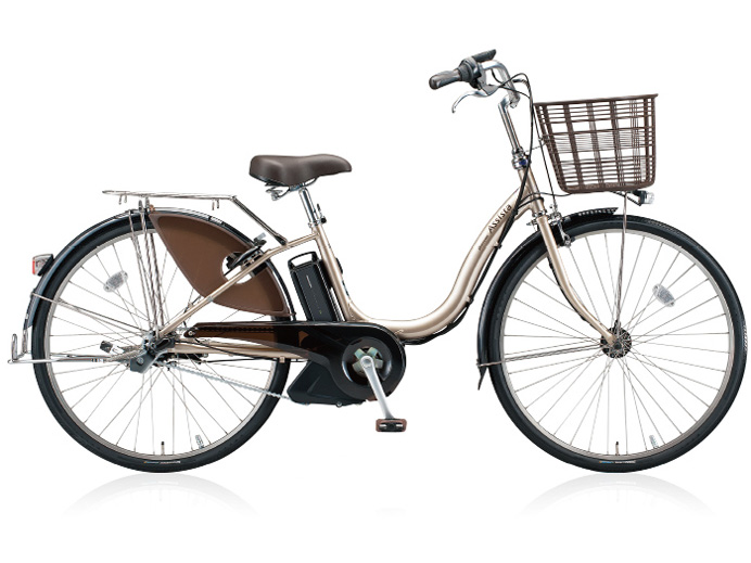 ブリヂストン アシスタDX A6D84 [P.XシーニックGミント] + 専用充電器