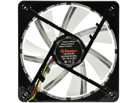 T.B.VEGAS UCTVS12P-BL [�u���[]