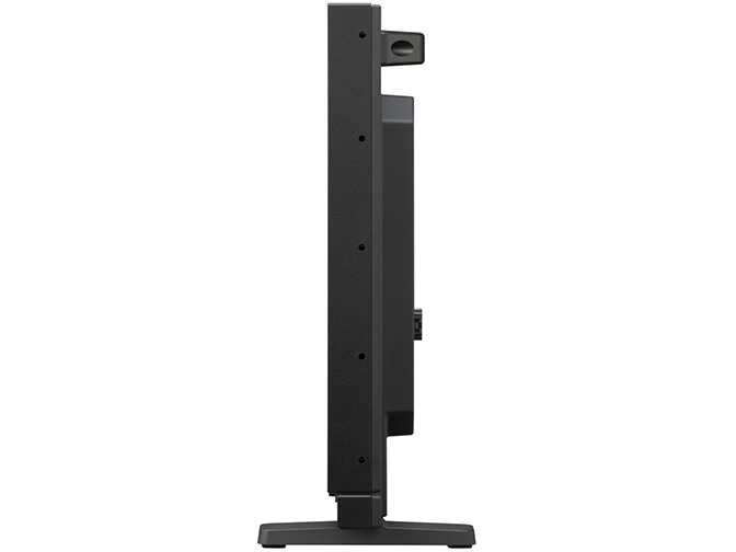 PVM-A250 [24.5�C���`]