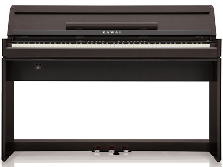 DIGITAL PIANO LS1 [�v���~�A�����[�Y�E�b�h��]