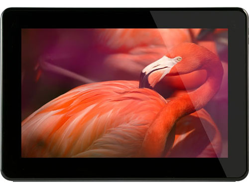 KALOS �̐��i�摜