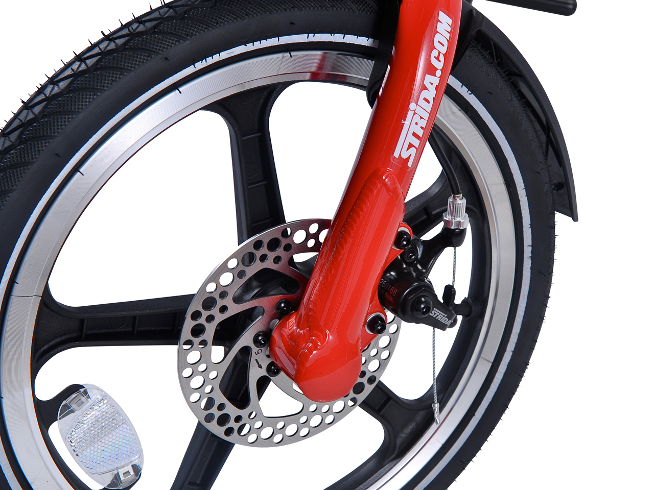 STRIDA LT 2014�N���f�� [���b�h]