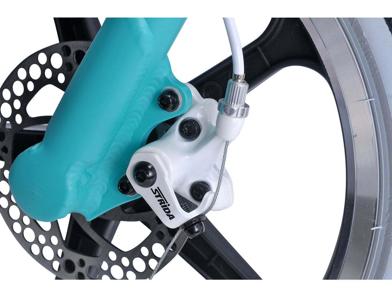 STRIDA LT-PASTEL [�^�[�R�C�Y]