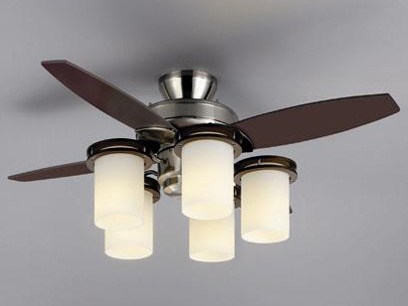 �A�[�o���I�[�N XZF-155798RL �̐��i�摜