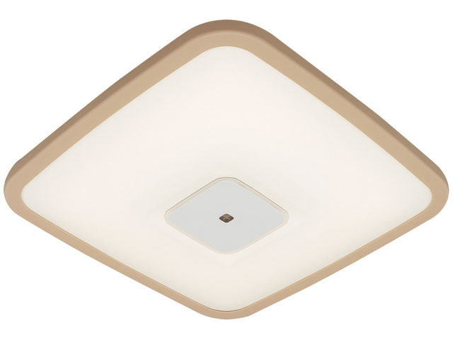 ECOHiLUX CL12DL-K1W-T [�u���E��] �̐��i�摜