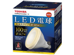 E-CORE LDR15L-D-W [�d���F]