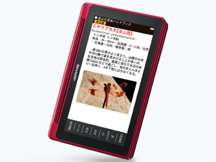 Brain PW-SA1-R [���b�h�n]