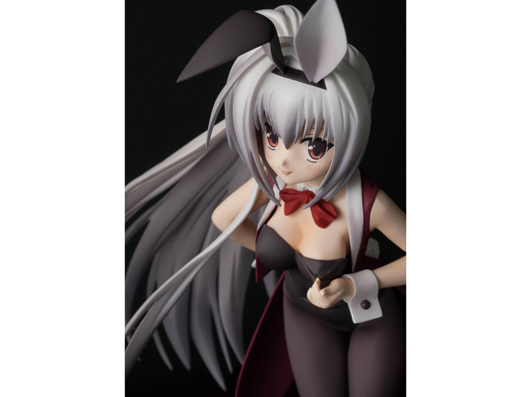 DRACU-RIOT�I �G���i�E�I���S���i�E�A���F�[�� �o�j�[�K�[��Ver.