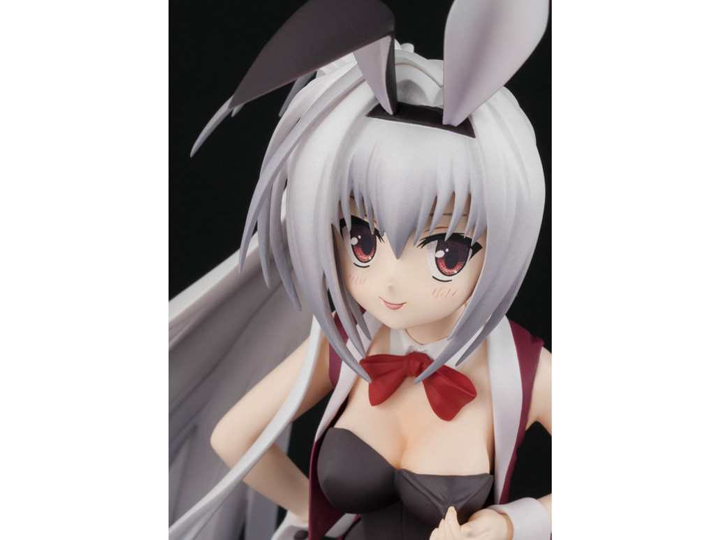 DRACU-RIOT�I �G���i�E�I���S���i�E�A���F�[�� �o�j�[�K�[��Ver.