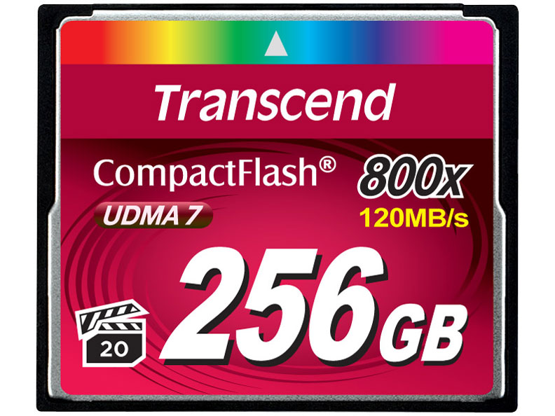 TS256GCF800 [256GB] �̐��i�摜