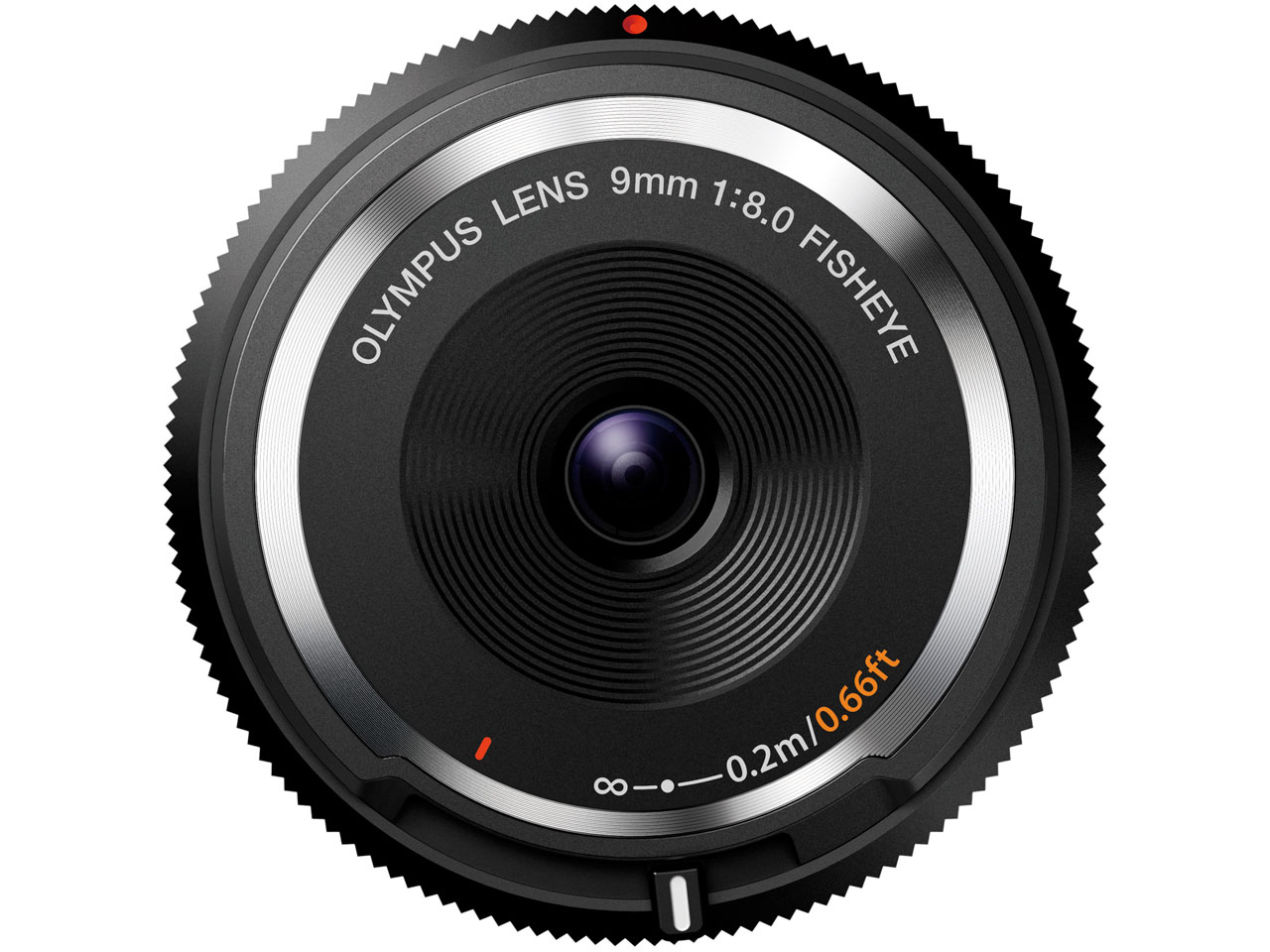 �t�B�b�V���A�C�{�f�B�[�L���b�v�����Y BCL-0980 [�u���b�N]