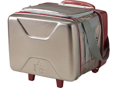 �n�C�p�[�X�_���g���[���[�N�[���[ 81670100