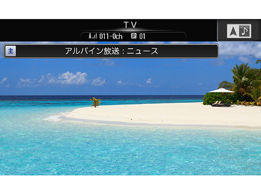 007WV-S-CF [�V���o�[]