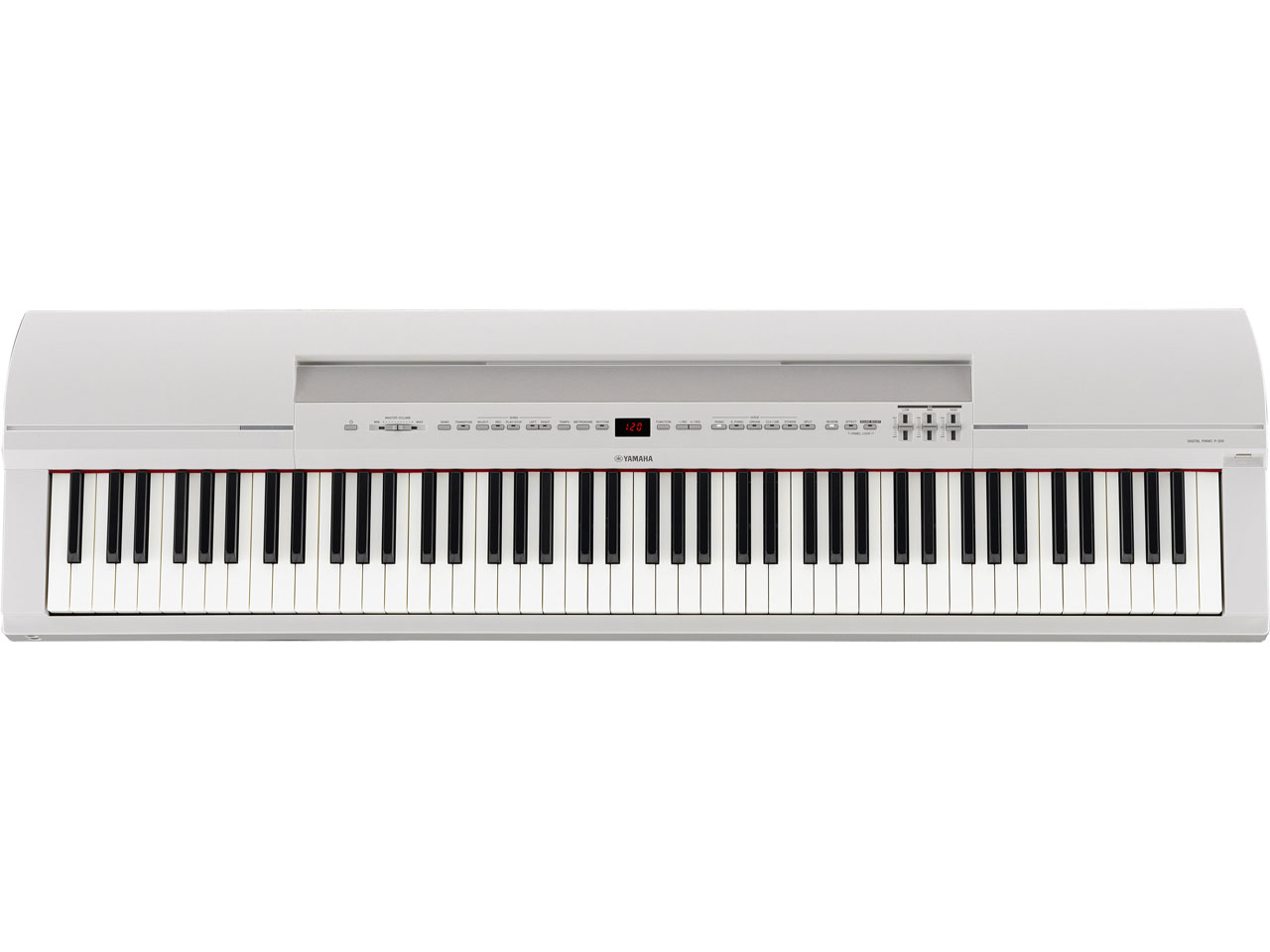 P-255WH [�z���C�g] �̐��i�摜