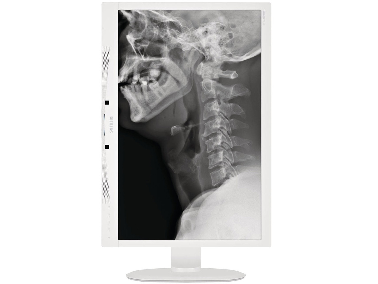 C240P4QPYEW/11 [24�C���` �z���C�g]